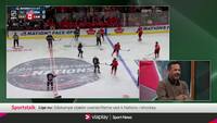 Sportstalk om ishockey-slåskampe: Tradition eller forældet?