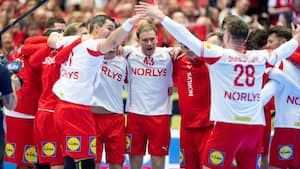 Var EM-forskrækkelse sundt for Danmarks håndboldherrer?
