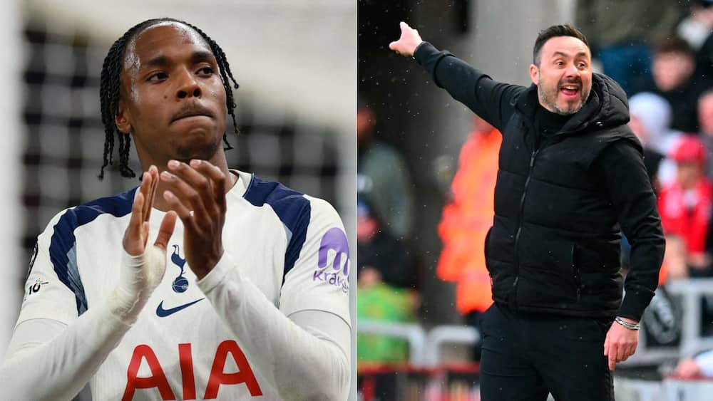 Tel er glad for De Zerbi: 'Kommer med energi og positivitet'