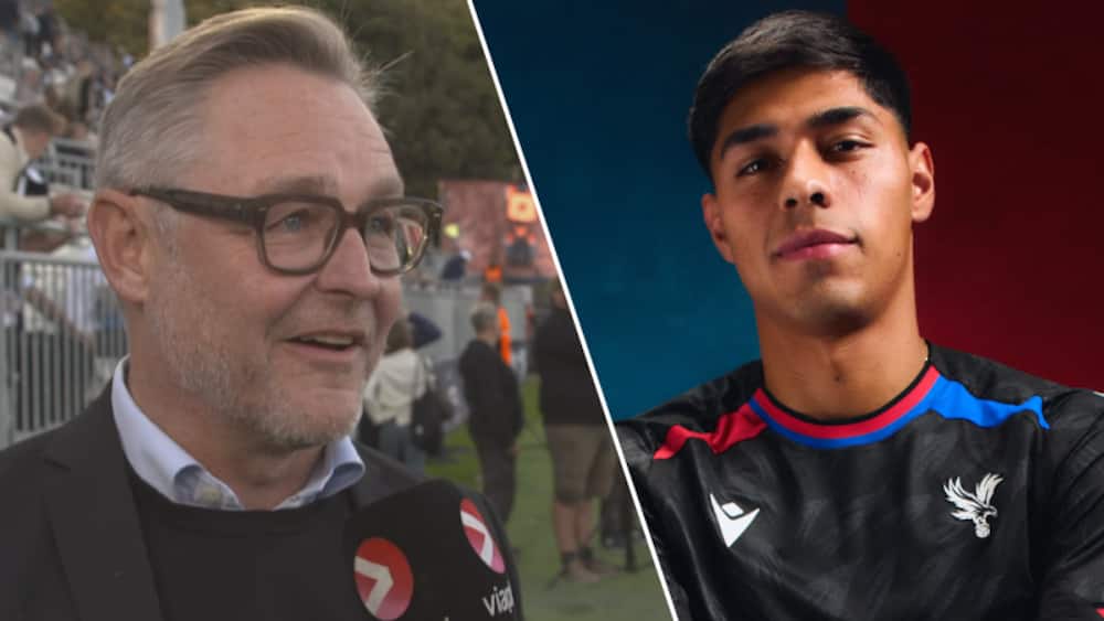 Steinlein kan ikke bekræfte købsobligation hos Palace