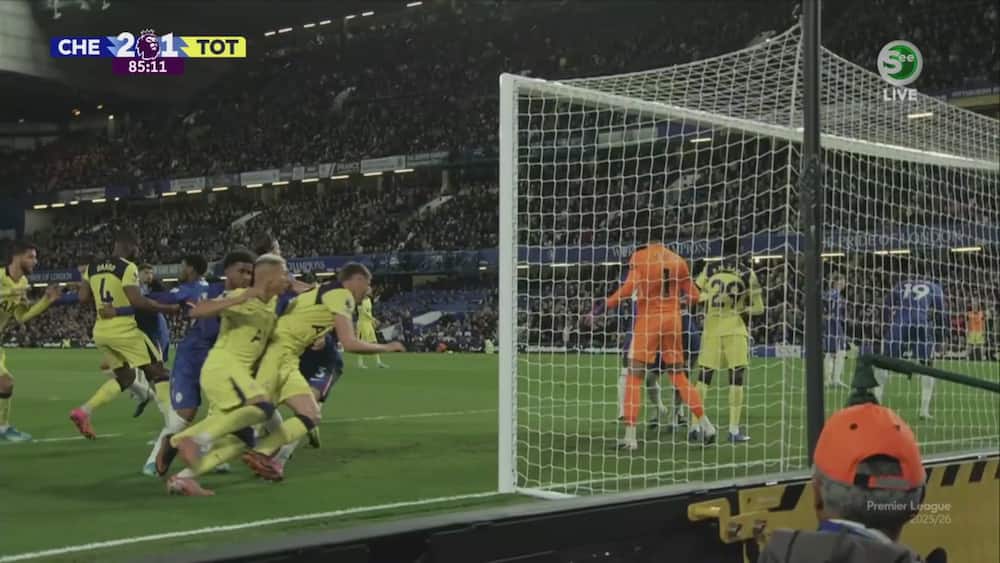 Tottenham vil have straffe: Har de en sag?