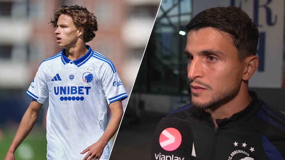 Stor ros til 'Usleben diamant'