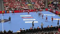 Aalborg Håndbold genvinder DM-guldet i Skjern