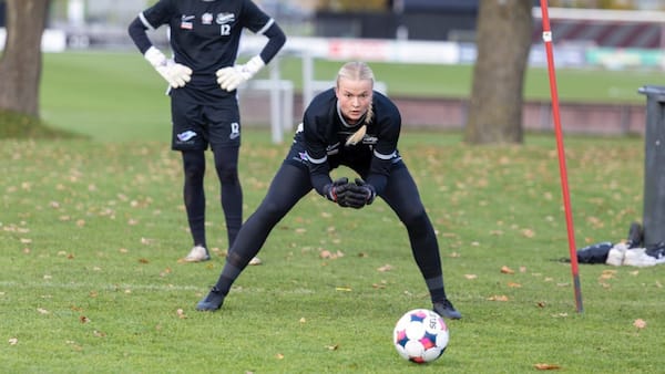 Cheftræneren bliver men landsholdskeeperen rejser