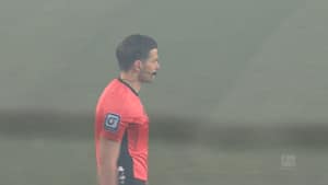 Vilde scener på tribunerne