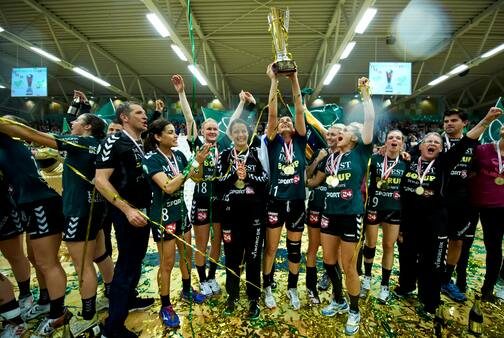 Lars Friis-Hansen om Viborg-job: Fantastisk udfordring
