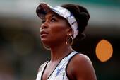 Venus Williams spiller Wimbledon i skyggen af trafikulykke