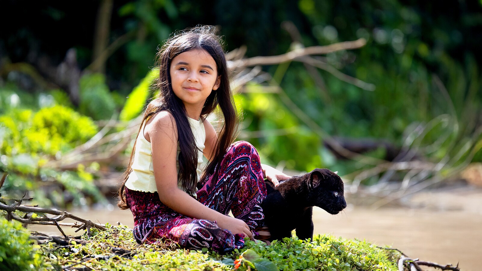 My Friend the Jaguar