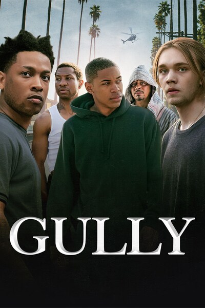 gully-2019