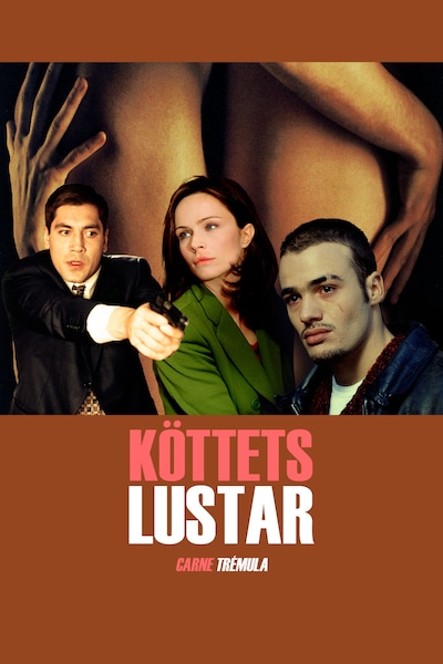 kottets-lustar-1997