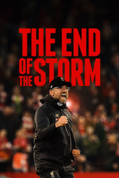 the-end-of-the-storm-2020