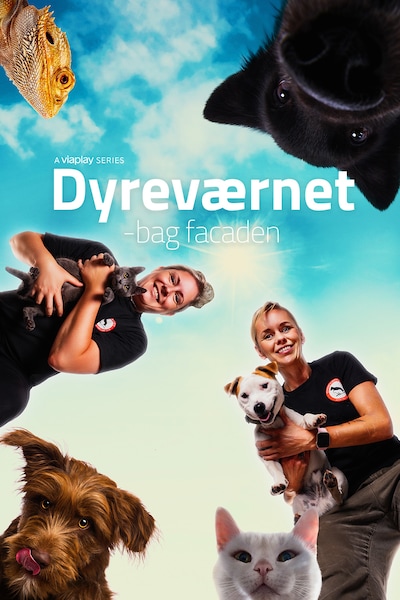 dyrevaernet-bag-facaden