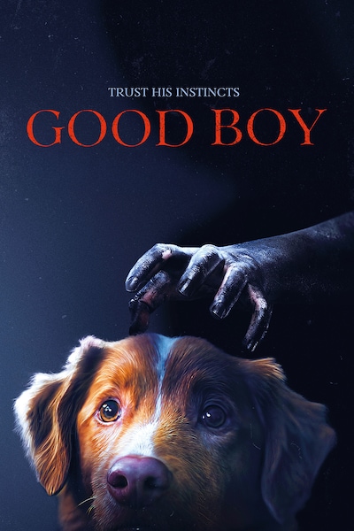 good-boy-2025
