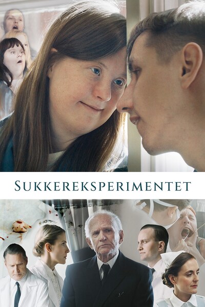 sukkereksperimentet-2023