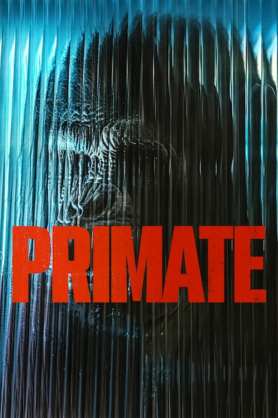primate-2025