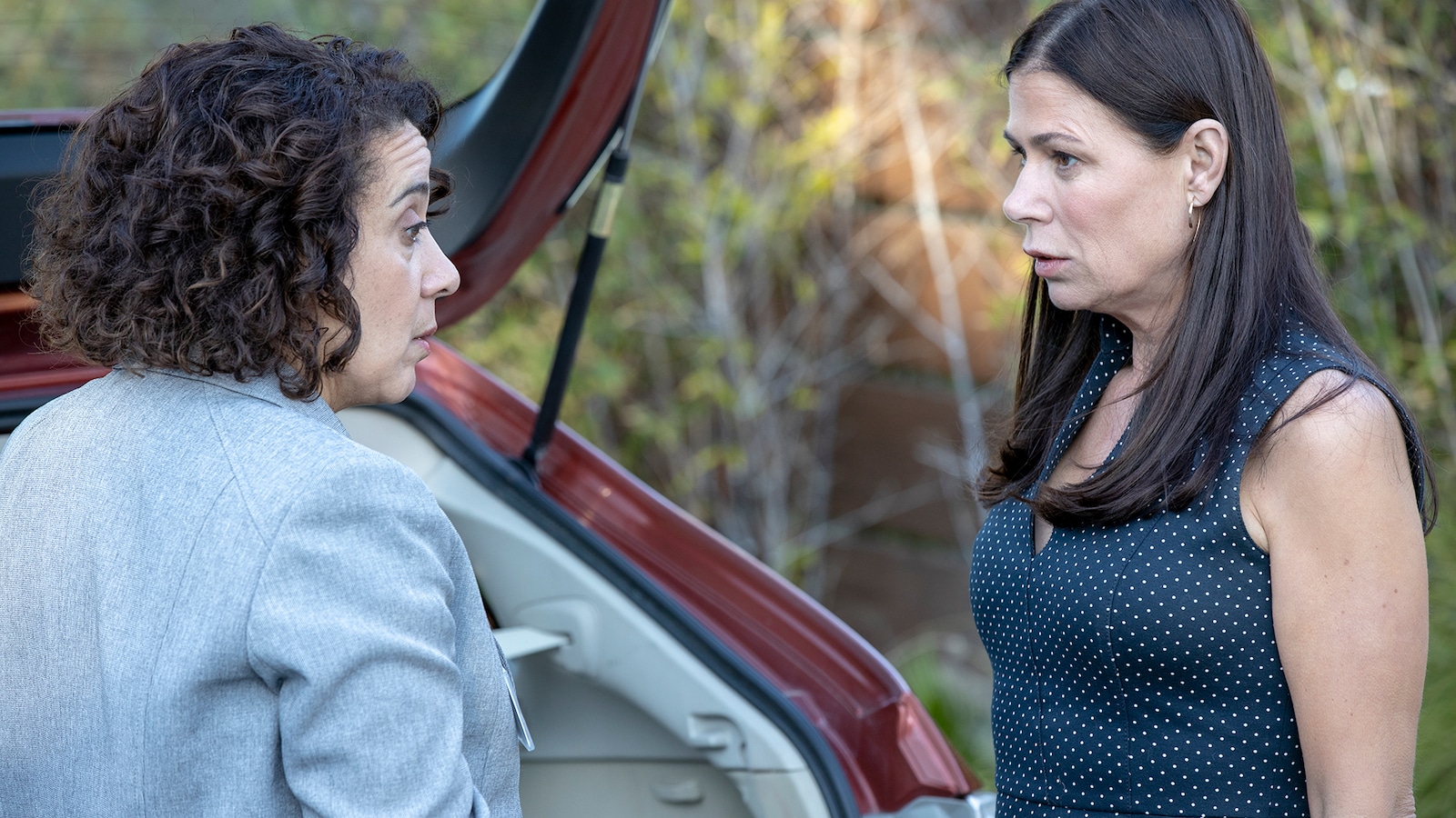 The Affair