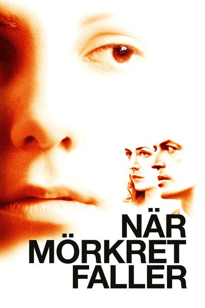 nar-morkret-faller-2006