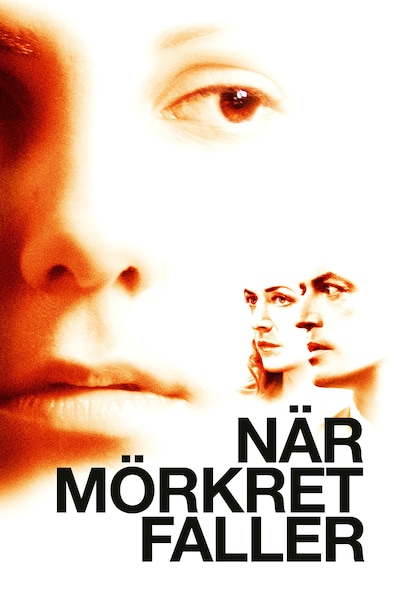 nar-morket-faller-2006