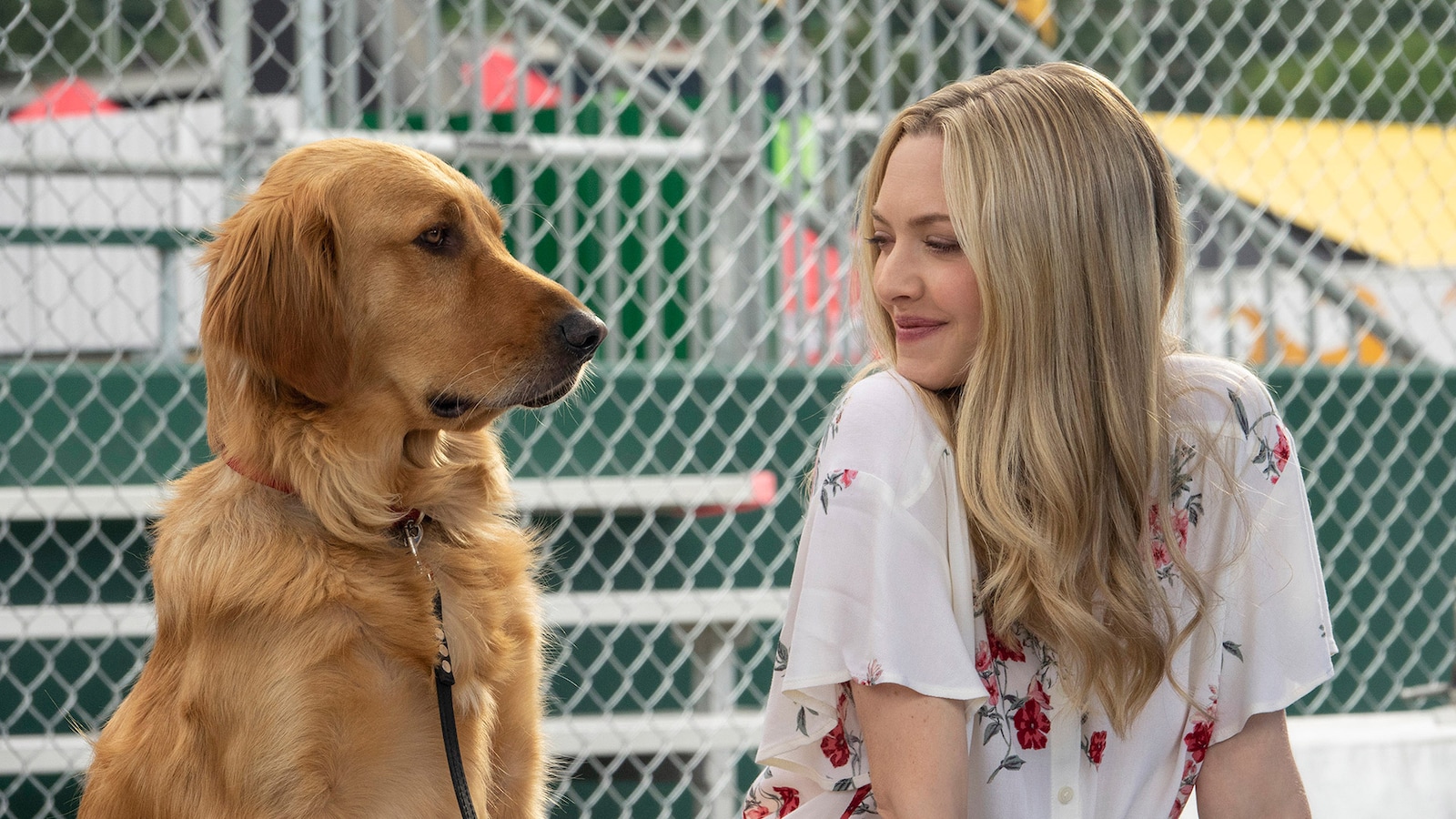 The Art of Racing in the Rain