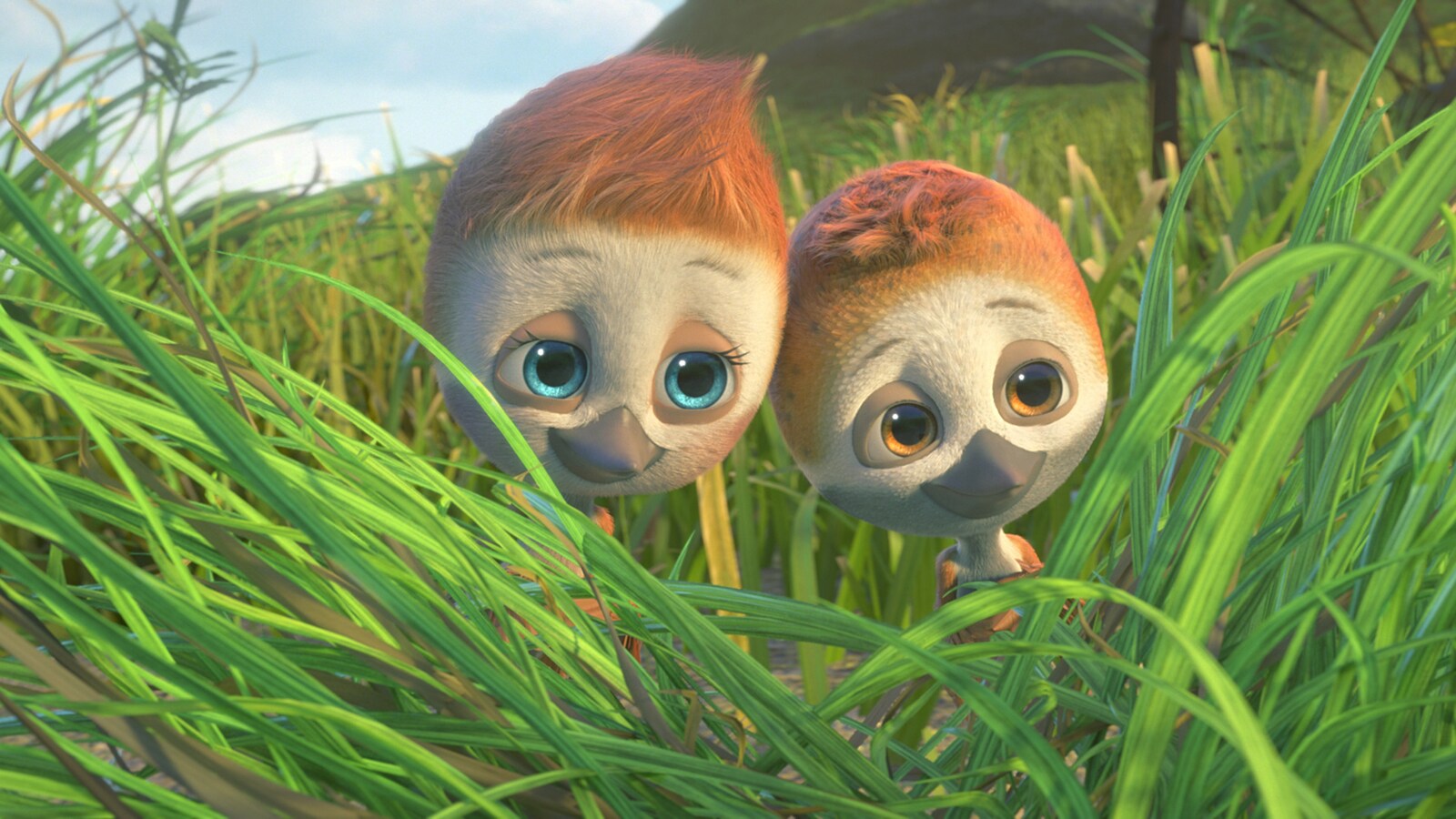 Poju - et koskaan lennä yksin