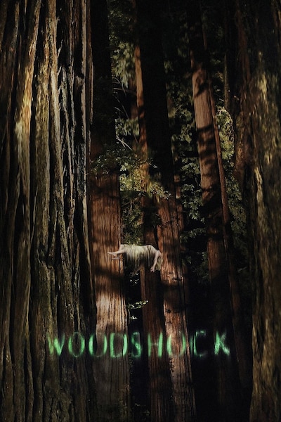 woodshock-2017