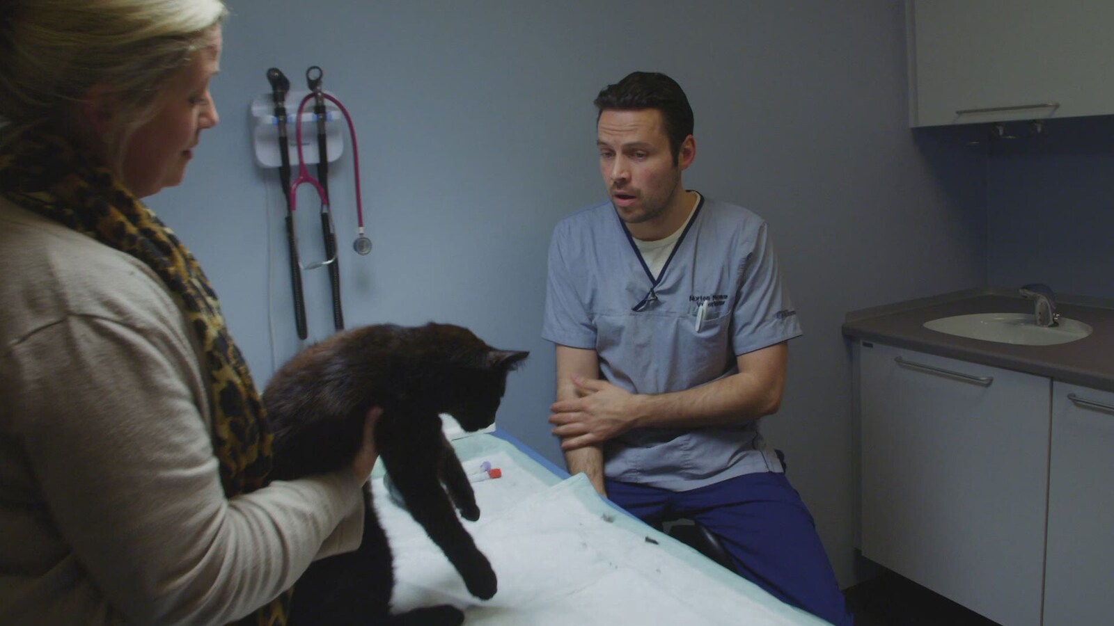 Veterinærene