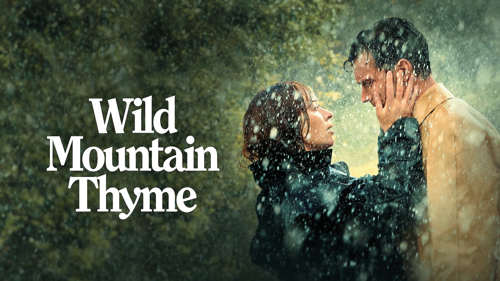 Wild Mountain Thyme