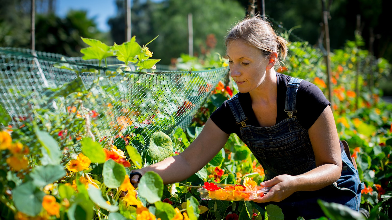 biggest-little-farm-2019