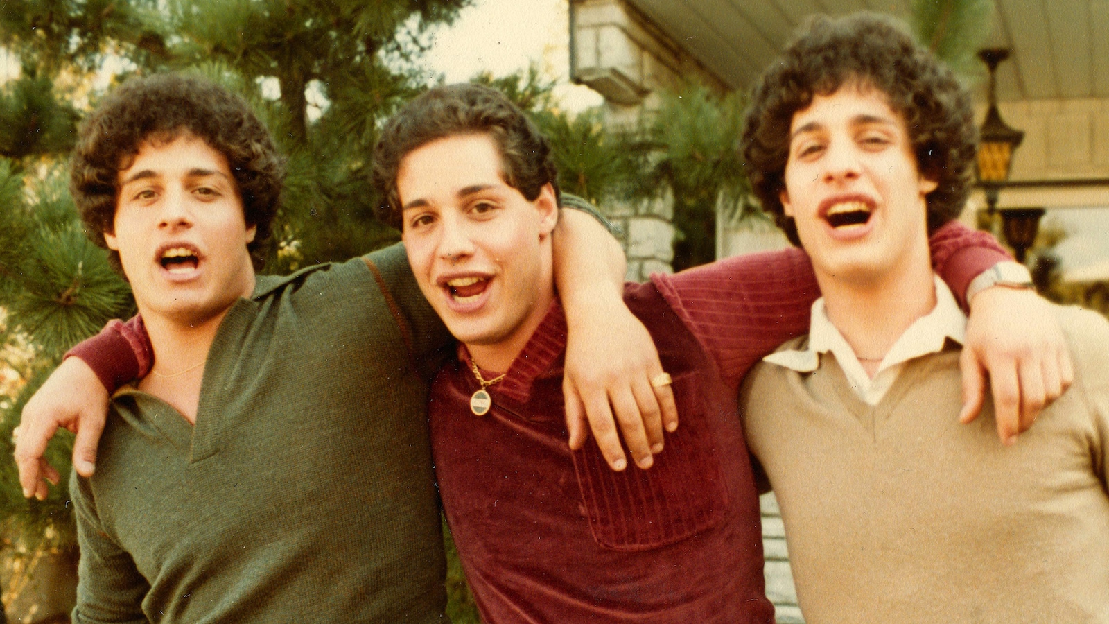 Three Identical Strangers