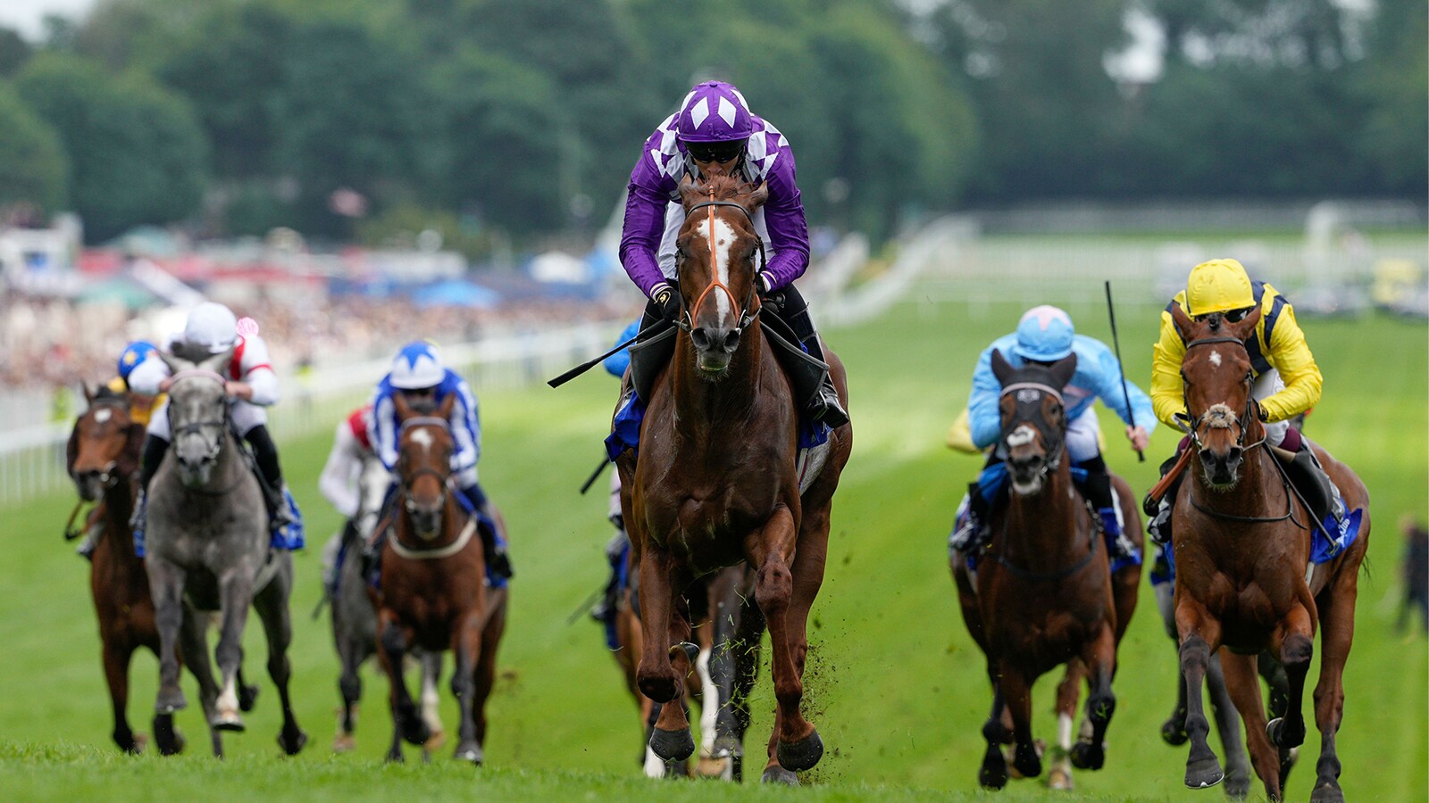 hevosurheilu/crown-jewels-racing/epsom-derby/s25053055767115632