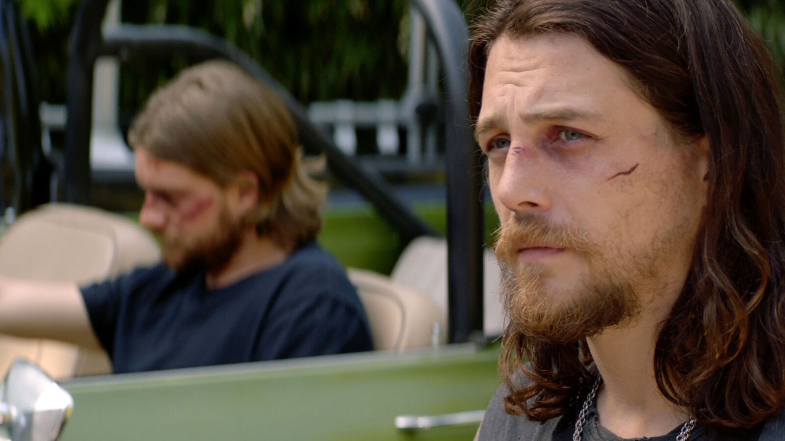 Animal Kingdom Sesong 4 Episode 10 TVserien på nettet Viaplay