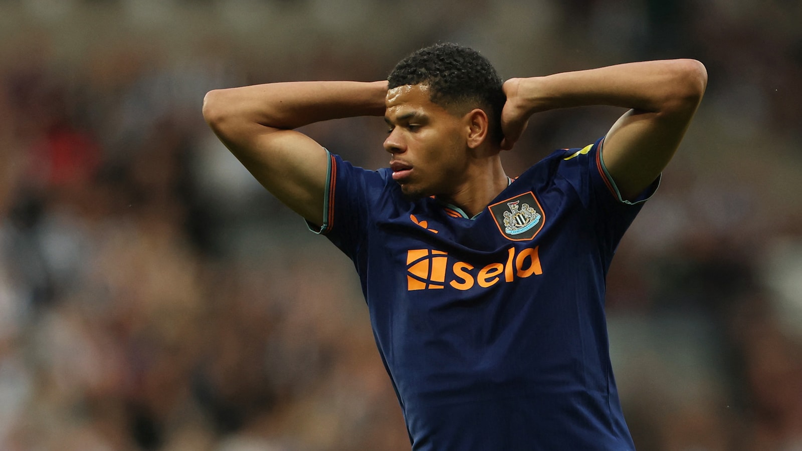 Wolverhampton - Newcastle