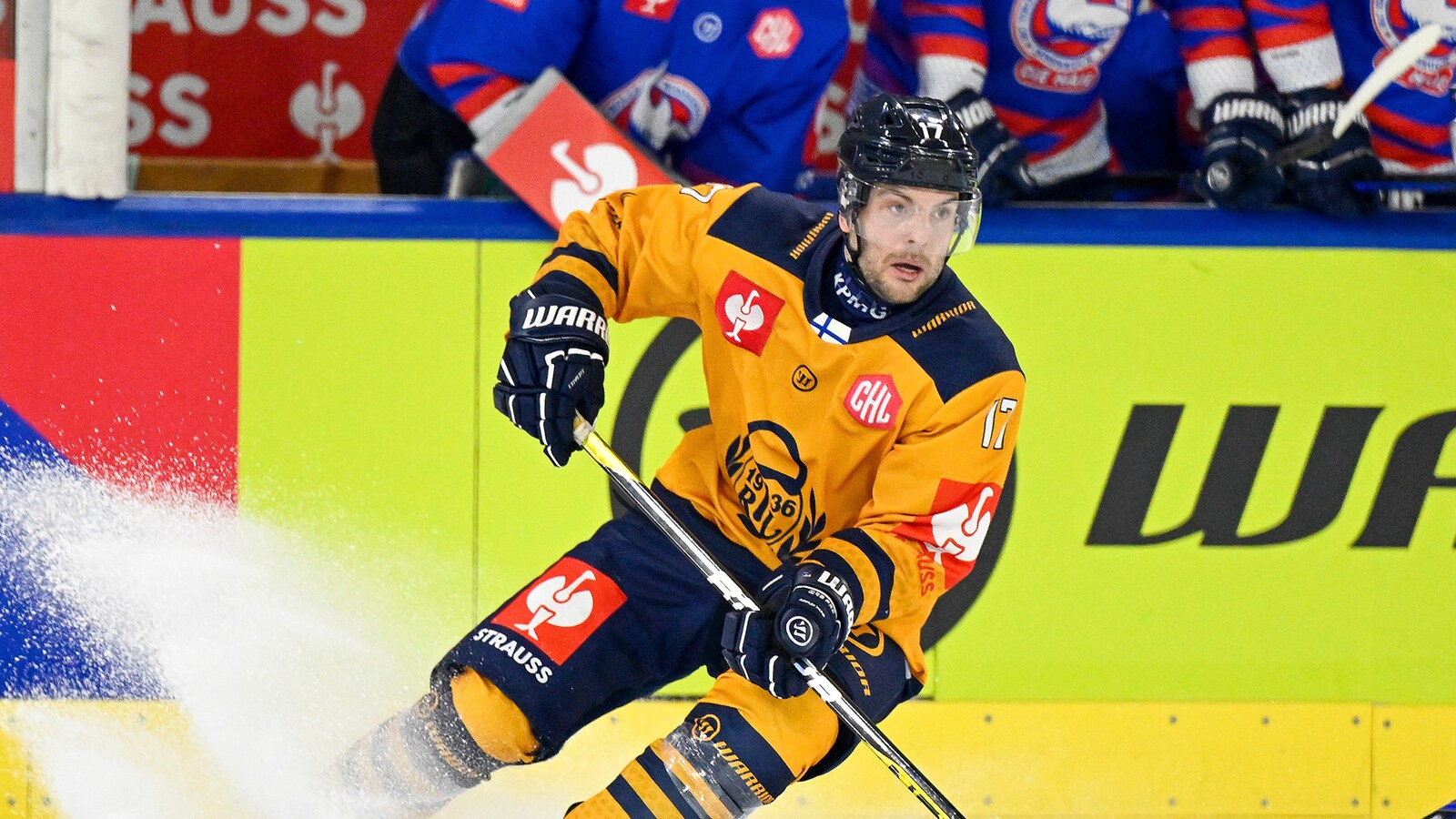 Eisbären Berlin - Lukko Rauma