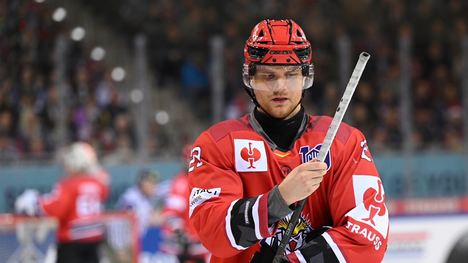 Pinguins Bremerhaven - Grenoble
