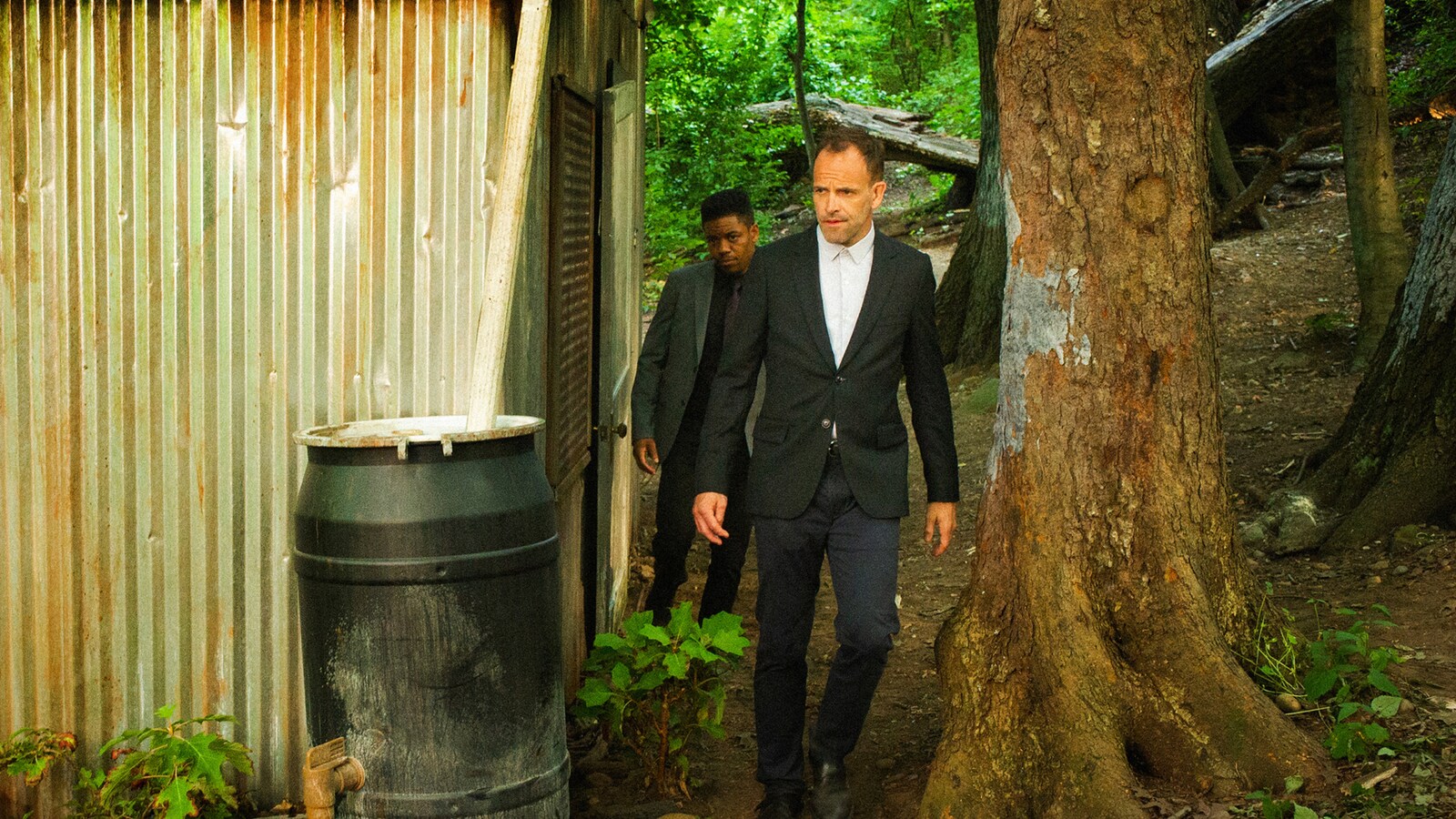 Elementary