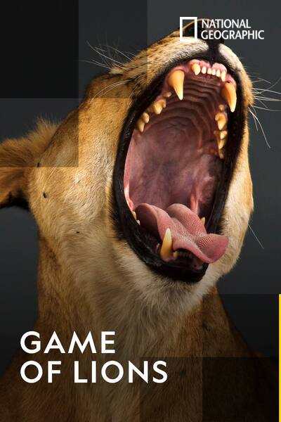 game-of-lions-2013