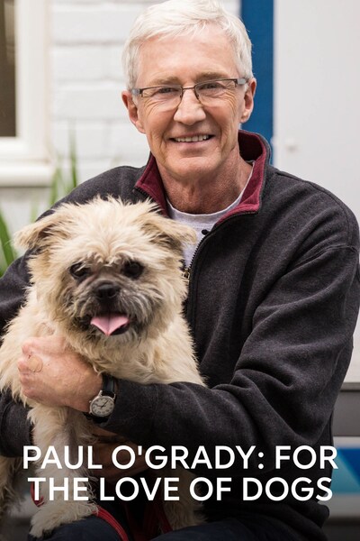 paul o grady for the love of dogs tv ohjelmat netissa viaplay