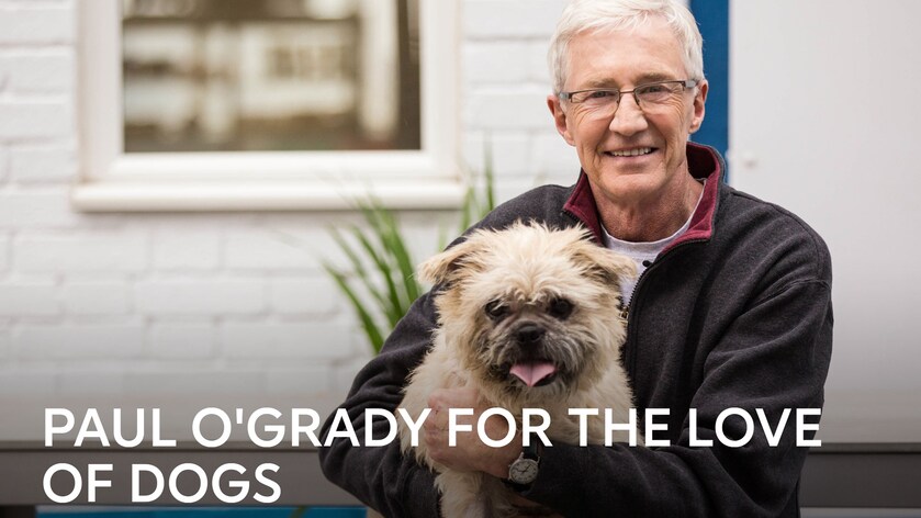 paul o grady for the love of dogs tv ohjelmat netissa viaplay