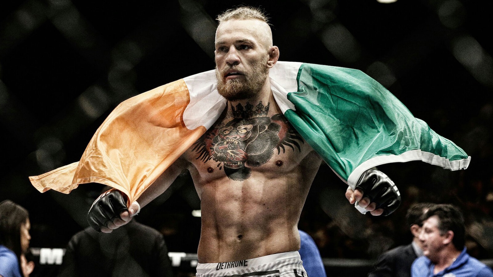 conor-mcgregor-notorious-2017