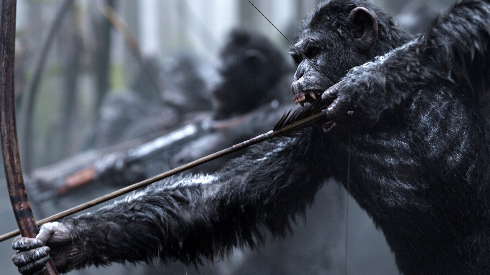 War For The Planet Of The Apes