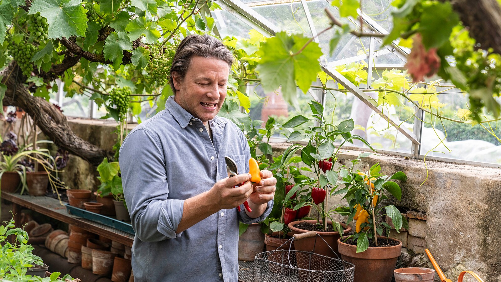 Jamie Oliver: Seasons