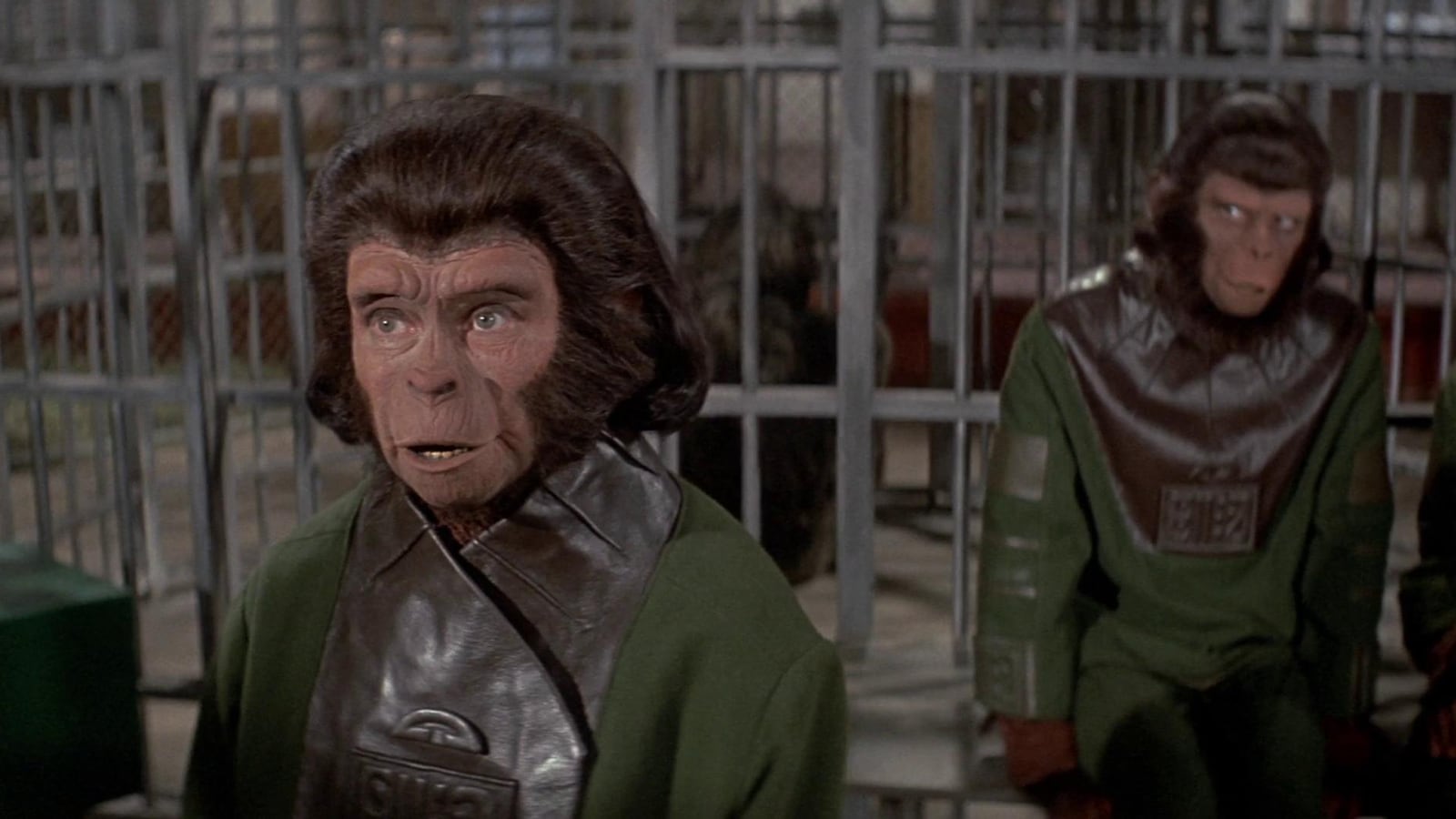 Pako Apinoiden planeetalta