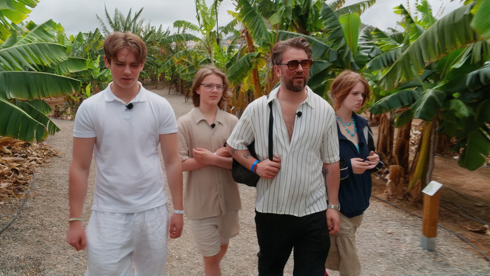 Charterfeber (Sverige)