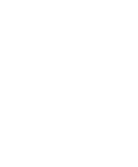 Ligue 1