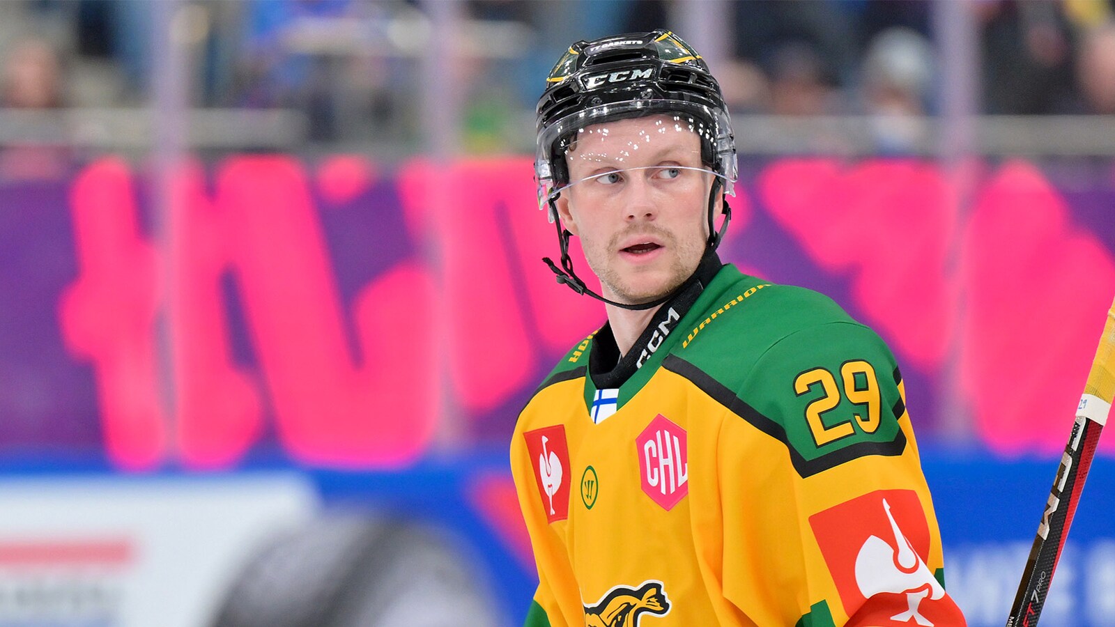 Belfast Giants - Ilves