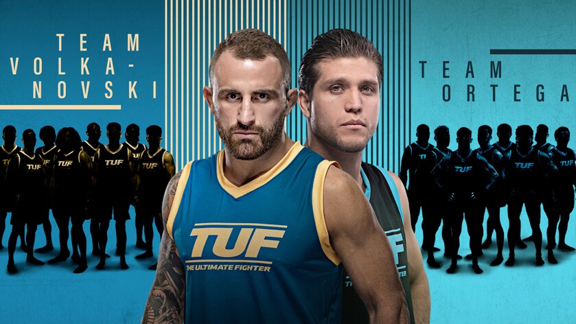 The Ultimate Fighter - TV-serier online - Viaplay