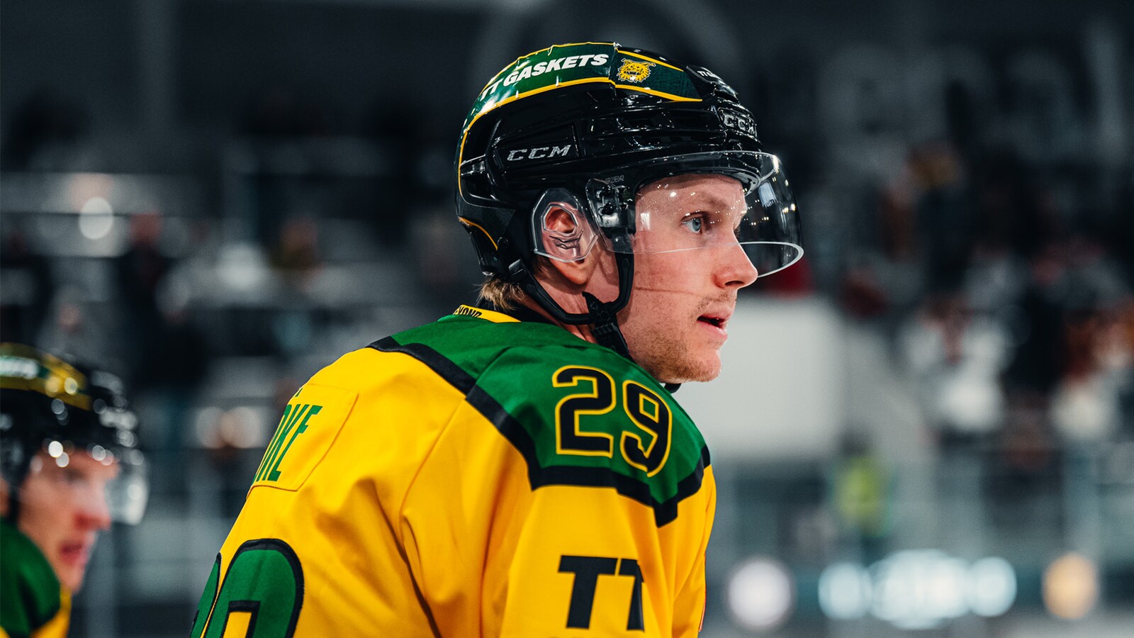 Pinguins Bremerhaven - Ilves Tampere