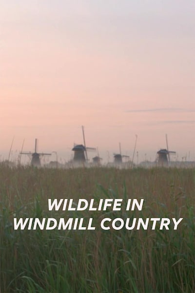 wildlife-in-windmill-country-2022