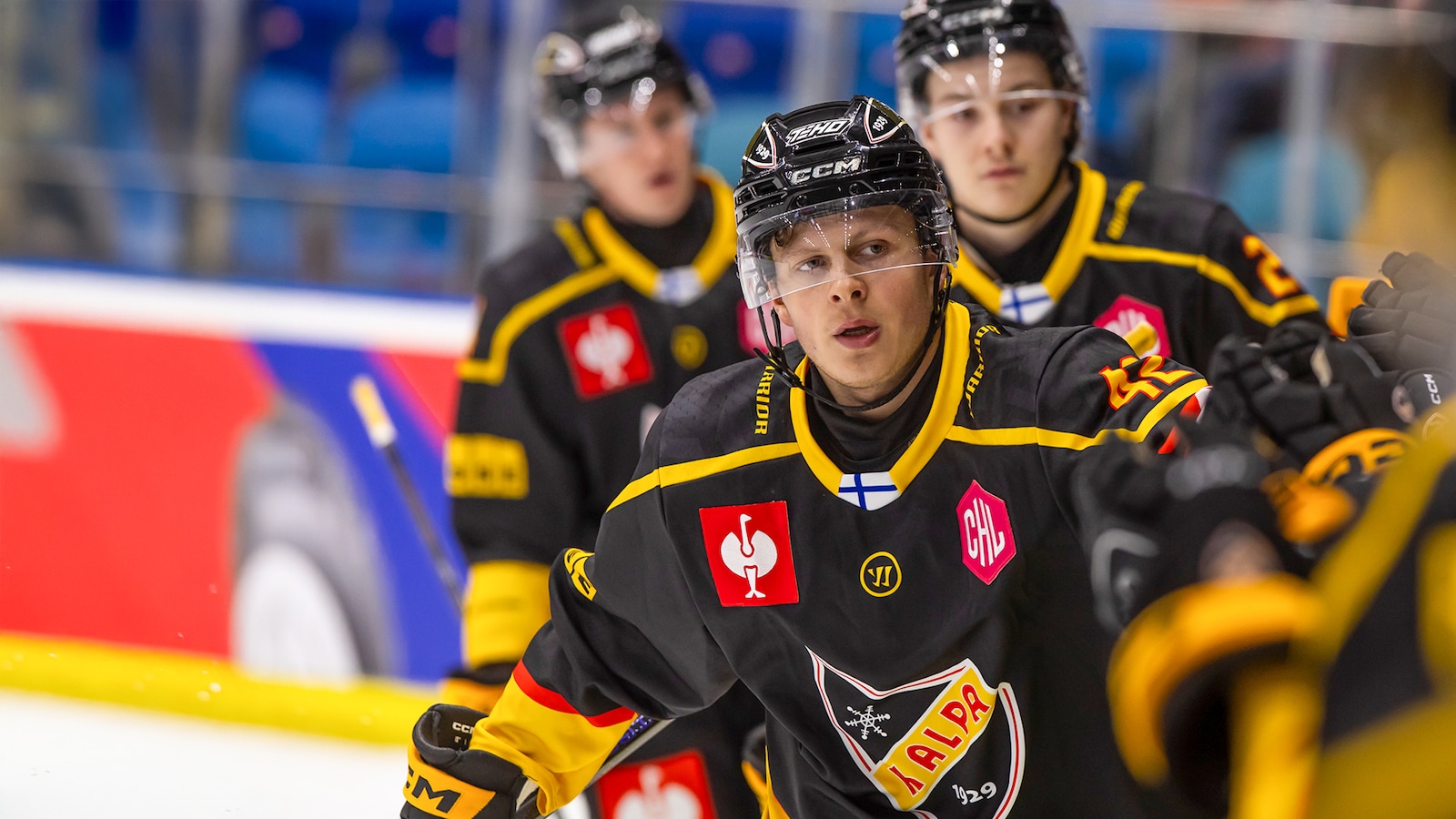 ZSC Lions - KalPa Kuopio