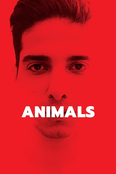 animals-2021